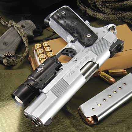 http://www.dlsports.com/1911_guards_sights_stops_housings_images/silver_pistol_tan_ammo_box.jpg