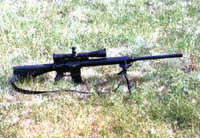 ARgrasssm.jpg - 20782 Bytes