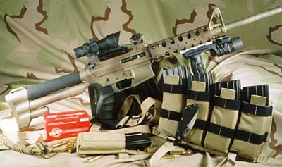 Custom AR-15 Stock and Handguard