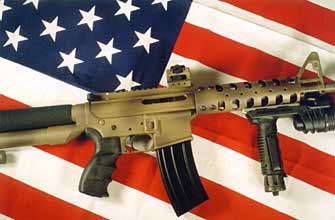 CQB Sight on AR-15