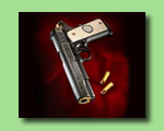 D&L Sports™ 1911 for ELP