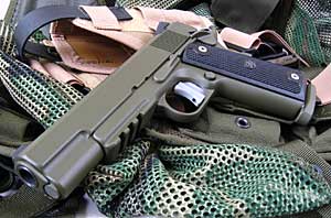 Pro Model 1911