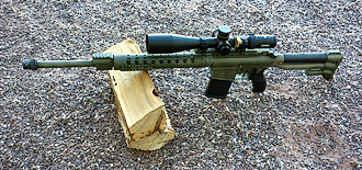 D&L Sports™ AR-15 with Buttstock and Handguard