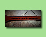 Sylvester Stallone belt