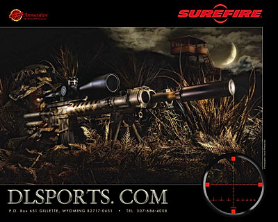 D&L Sports™ Poster
