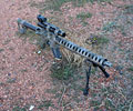 AR-15 with dual optic mount