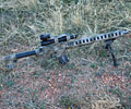 AR-15 with dual optic mount