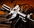 D&L AR-15