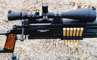 Marksman's Rifle