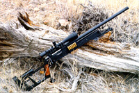 Marksman's Rifle