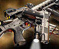 D&L Sports™ AR-15s and 1911s