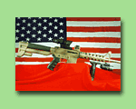 AR-15