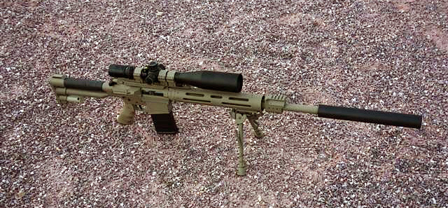 Custom AR 308