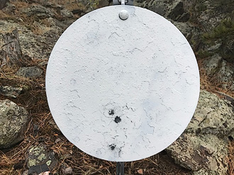 Common MR-30PG accuracy performance