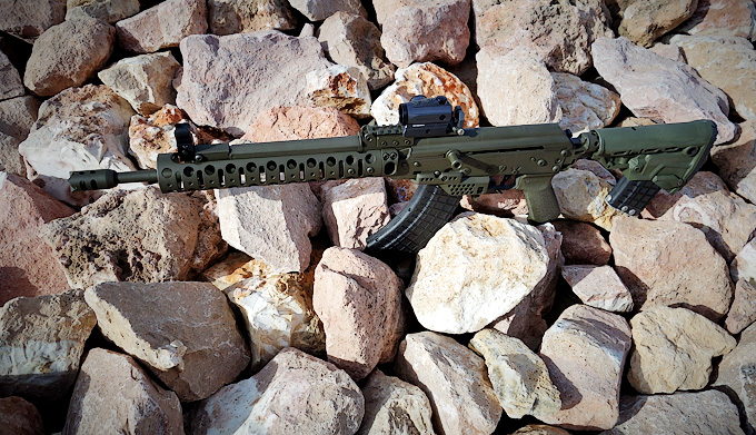 D&L Custom SLR/Carbine