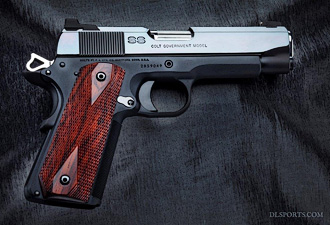 SS Professional 1911