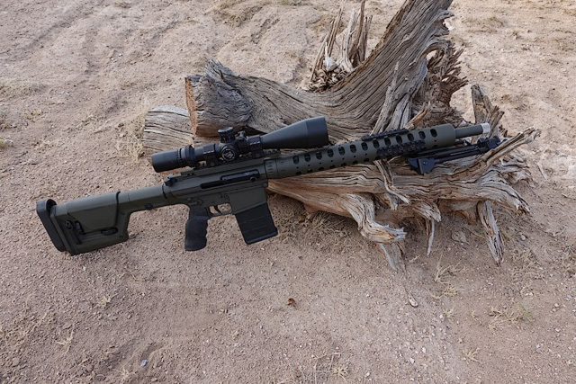 D&L AR-30 Custom Semi-Auto .308