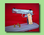 Custom  Short Slide Professional Model 1911