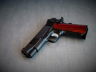 SS Professional 1911