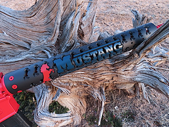 Mustang Seeds Presentation Rifle