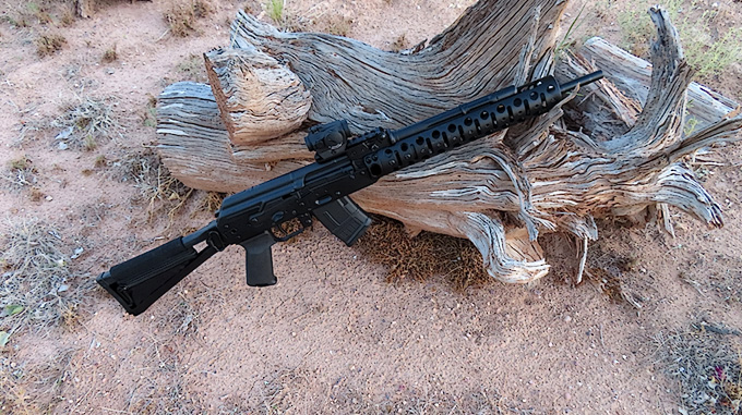 D&L Custom SLR Carbine