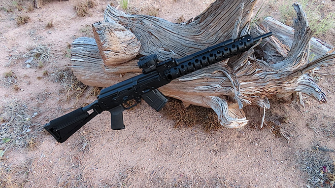 D&L Custom SLR Carbine