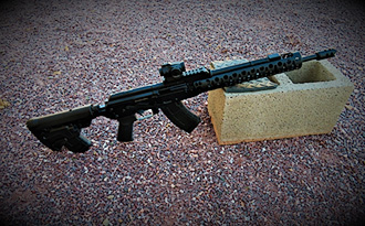 D&L Custom SLR Carbine