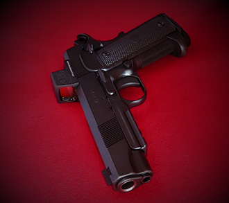 SS Professional 1911