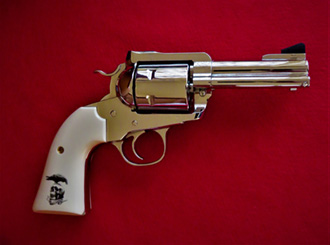 Ruger Revolver