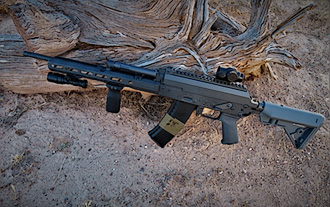 D&L Custom SLR Carbine